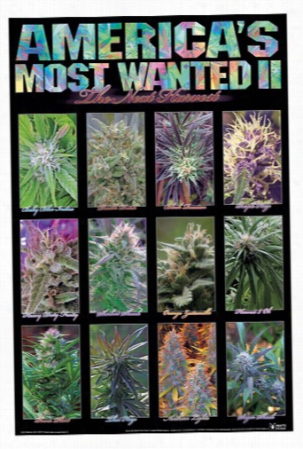 Americas Most Wanted Weed Beach Towel (28&quot; X 58&quot;)