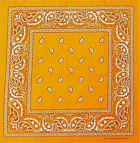 Bandanas - G Old Paisley Bandana