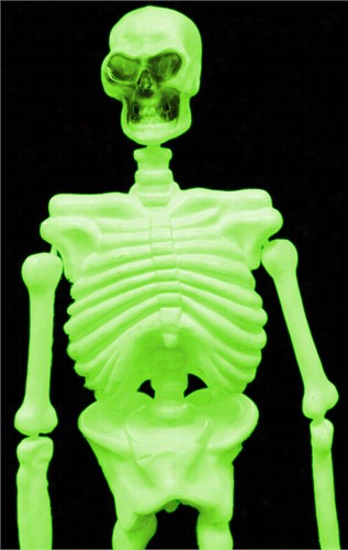 Life Sizeglow In The Dark And Black Light 3d Skeleton  (5 Feet Tall)