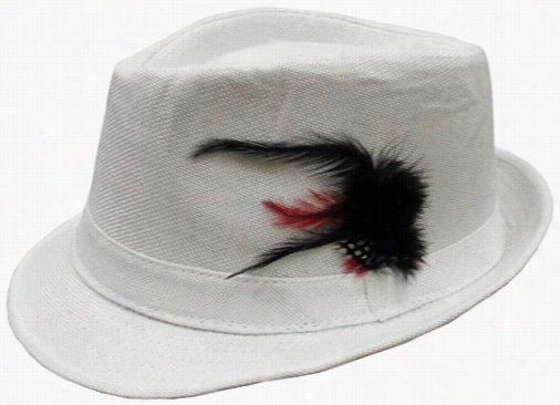 White Fedora Wtih Feathers