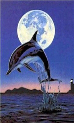 Dolphin And Moon Towel