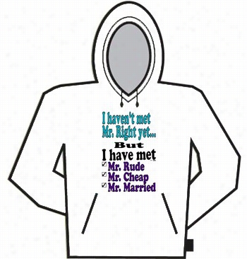 I Haven't Met Mr. Right Yet...hoodie