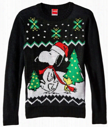 Official Peanuts Snoopy  And Woodstoock Youth Uglychristmas Sweater