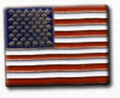 American Flag L Apel Pin