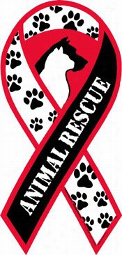 Animal Rescue Ca Ribbon Ma Gnet