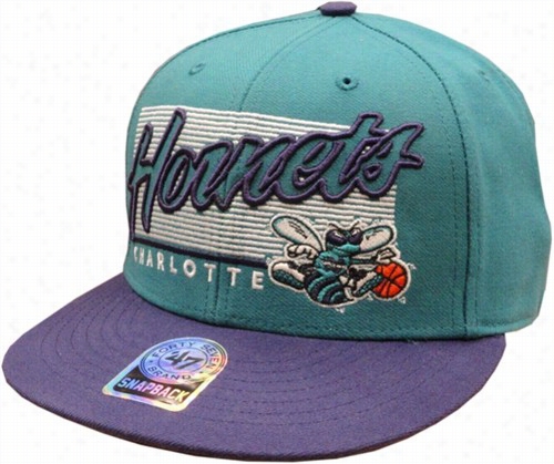 Charlotte Hornets Vintage Snapback Ht