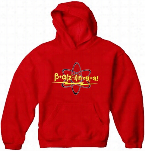 Math Equation Adult Hoodie