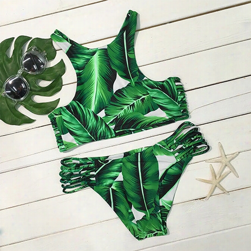 Tropical Trip Leaves Printing Bikini Set