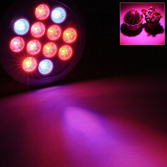 Homdox High Efficiency 12w Hydroponic Led Plant Grow Light Gar Den Greenhouse