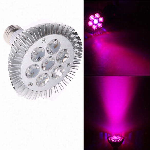 New E27 7w Led Plant Hydroponic Grow Light Vegetablesf Loral Lig Energy Saving Spotlight Downlgihtt For Gared Nn Pstio