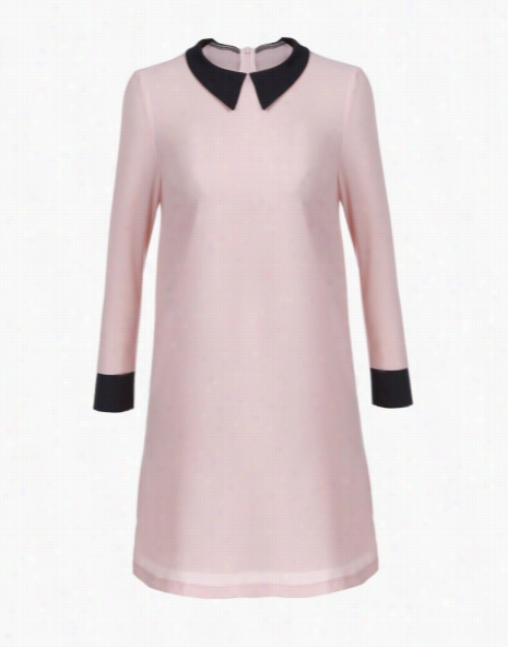 Stylish Lady Woemn's New Fashion Long Sleeve Turndown Collar Mini Dress