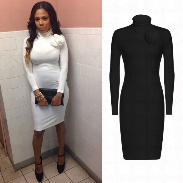 New Women's Ladie Long Sleeve  Turtle Neck Sexy Slimf Itting Bodycon Warm Pencil Dress