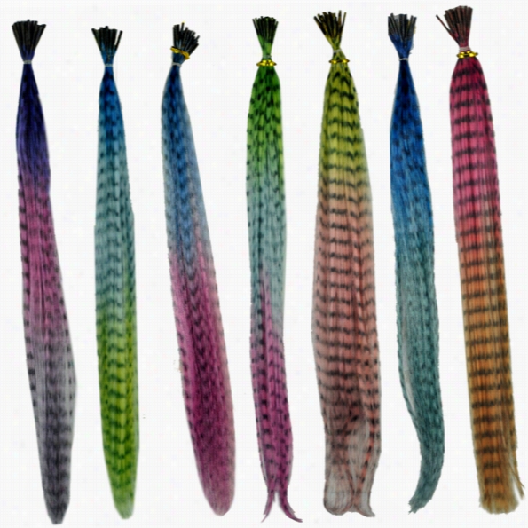 Women's Mluti-color 7 Type Stright Colorful Grizzly Feather Zebra S Trie Hair Extensioms
