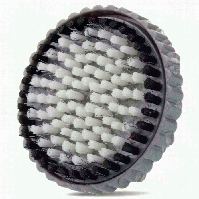 Clarisonic Obdy Brush Head