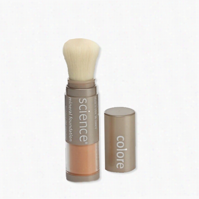 Colorescience Loose Mineral Foundation Powder Brush Spf 20