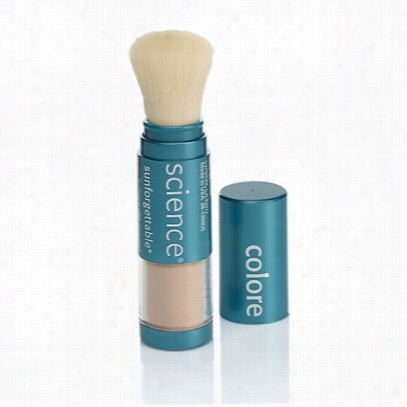 Colorescience Sunforgettable Mineral Powder Brush Spf 30