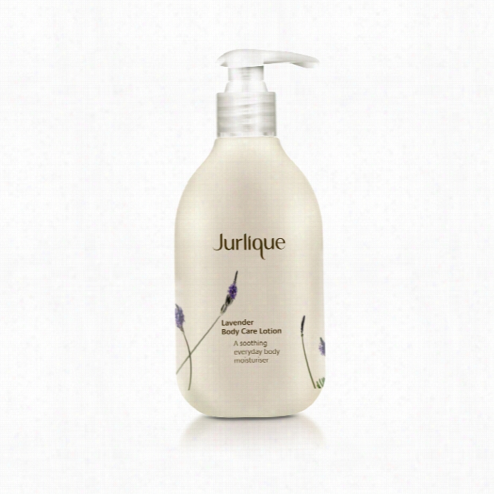 Julrique Lavender Bdoy Care Lotion