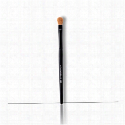 Youn Gblood Eye/lip Brush