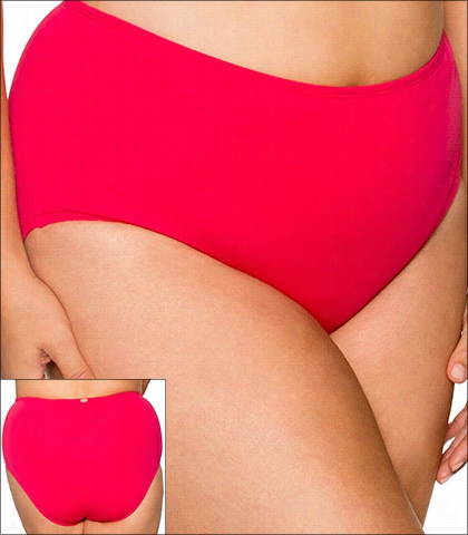 Curve Pink Rosette Swimwear Bottom-brief-high Waist 16-piro-97b