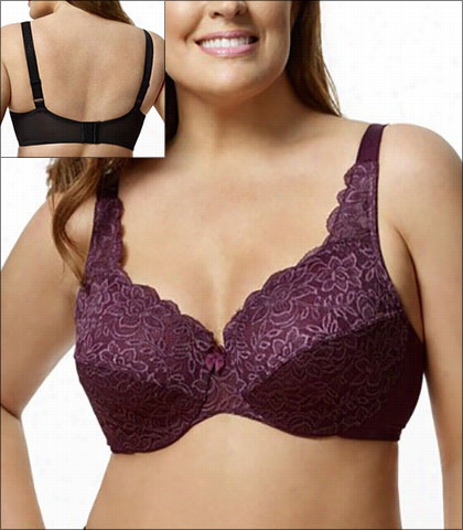 Elila Stretch Lace Underwire Bra 2709