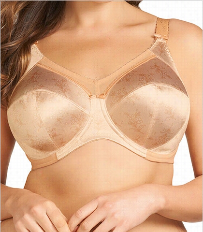 Banded Underwire Bra 6630