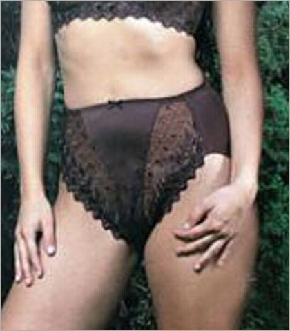Valmont Embroidered Lace And Atin Hi Cut Brief Denominate 2320