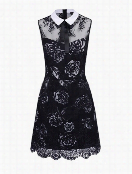 Black Floral Lace Fabulous Doll Collar Skaater Dress