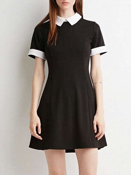 Color Block Elegsntt Doll Collar Skater Dress