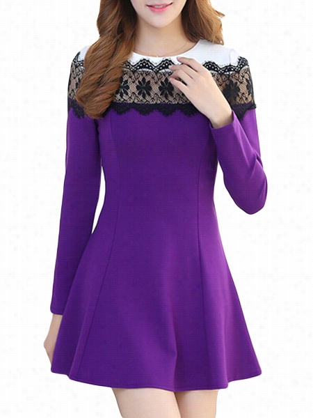 Color Block Lace Chic Crew Neck Skater Dress