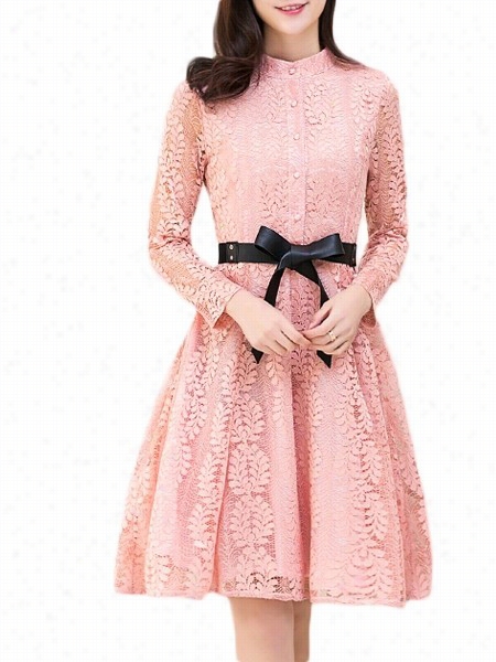 Floral Lace Deafening Band Collar Skater Dress