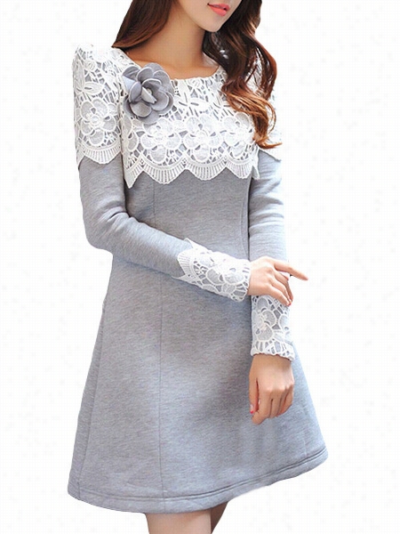Lace Patchwork Absorbiing Skater Dress