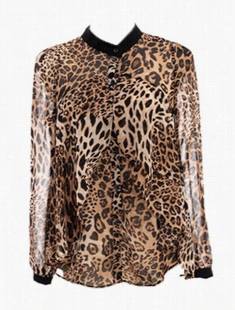 Leopard Printed Falbala Band Collar Blouses