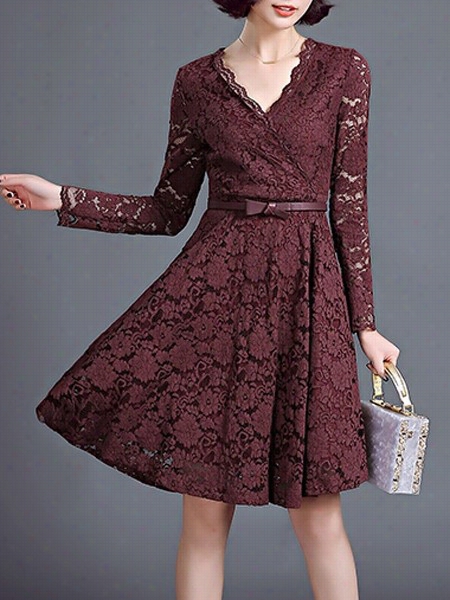 Hollow Out Lace Extraordinary Skater Dress