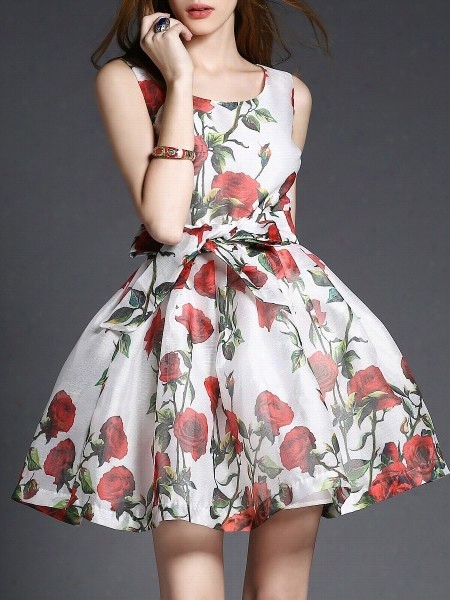 Rose Printed Charming Skater Dre Ss