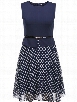 Crew Neck Polka Dot Skater-dress