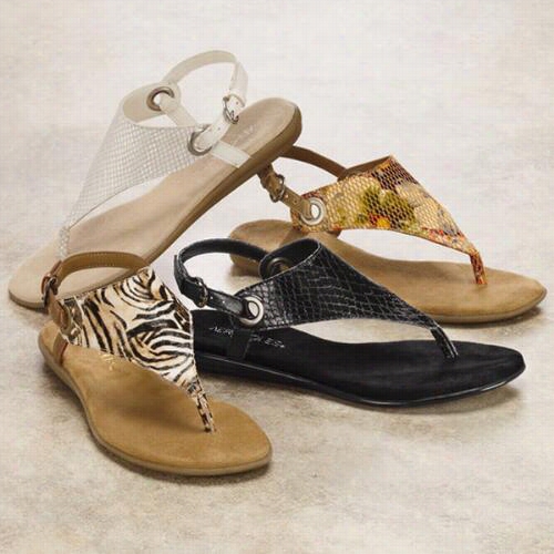 Conchlusiin Sandals By Aerosoles