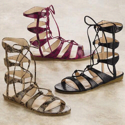 Snnakette Gladiator Sandals By  Gc Shoes