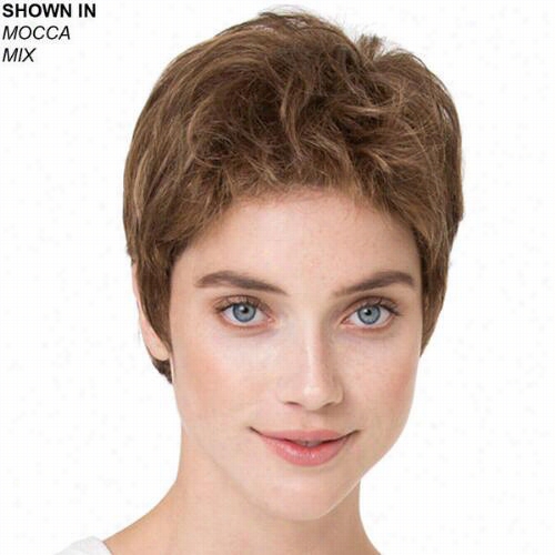 Risk Comfort Lace Front Mon Ofilament Wig By Ellen Command