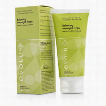 Balancing Overnight Cream (normall Or Cobiantion Skni)