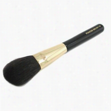 Powder Brush 10