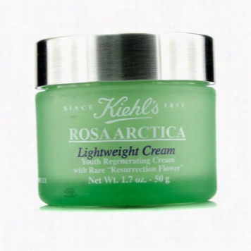 Rosa Arctica Lightweight Cream