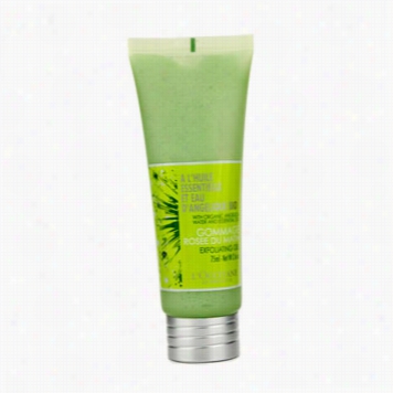 Angelica Exfoliating Gel