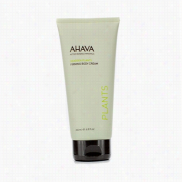 Deadsea Plants Firmingbody Cream