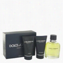 Dolce & Gabbana Gift Set By Dolce & Gabbana Gift Set For Men Includes 4.2 Eau De Toilette Spray  1.7 Oz After Shavee Balm + 1.7 Oz Shower Gel