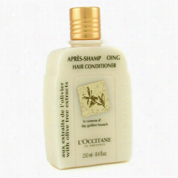 Olive Tree Conditioner