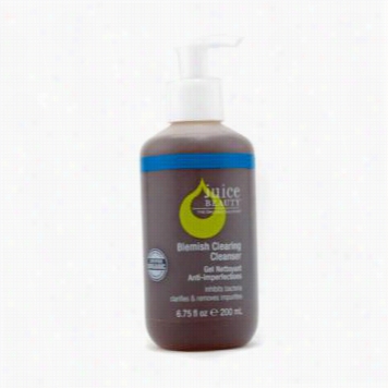 Blemish Clearing Cleanser