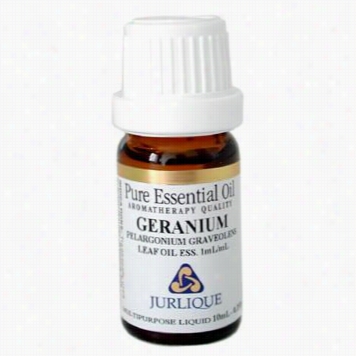 Geranium Pure Indispensable Element Oil