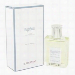 Pioggia Salata Perfume By Il Profumo, 3.4 Oz Eau De Parfum Spray For Women