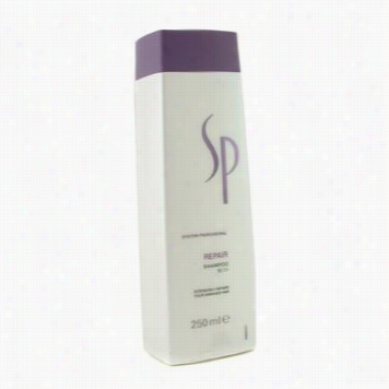 Sp Repair Shampoo (for Damage Dhair)