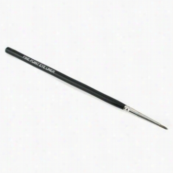Fine Point Eey Liner Brush - Long Handled